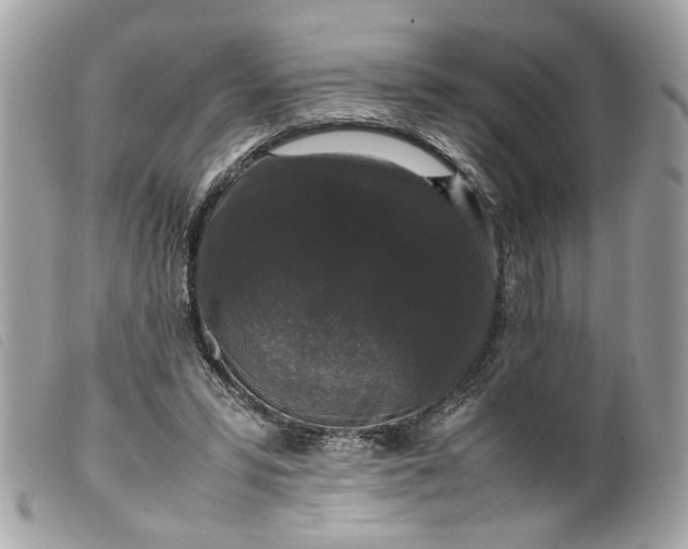 X0000099550399200805301525