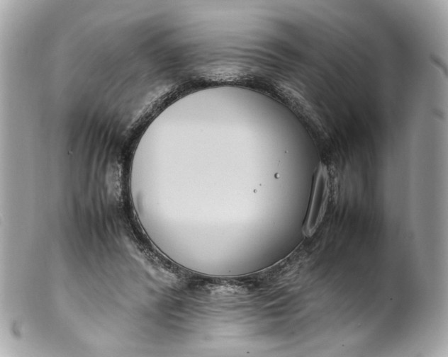 X0000099550400200805301525