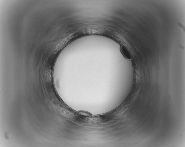 X0000099550401200805301525