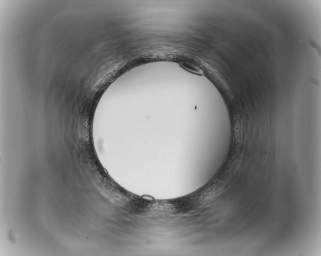 X0000099550403200805301525