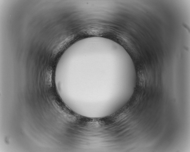 X0000099550404200805301525