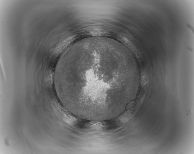 X0000099550405200805301525