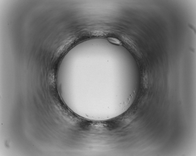 X0000099550407200805301525