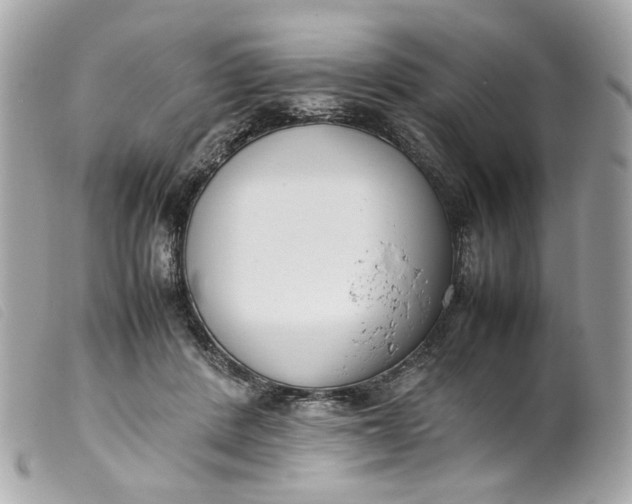 X0000099550408200805301525