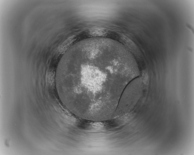 X0000099550409200805301525