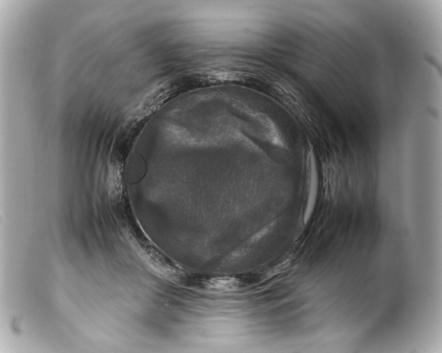 X0000099550410200805301525