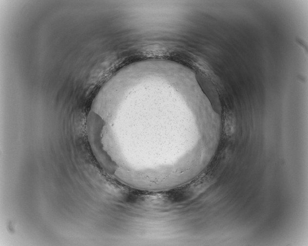 X0000099550411200805301525