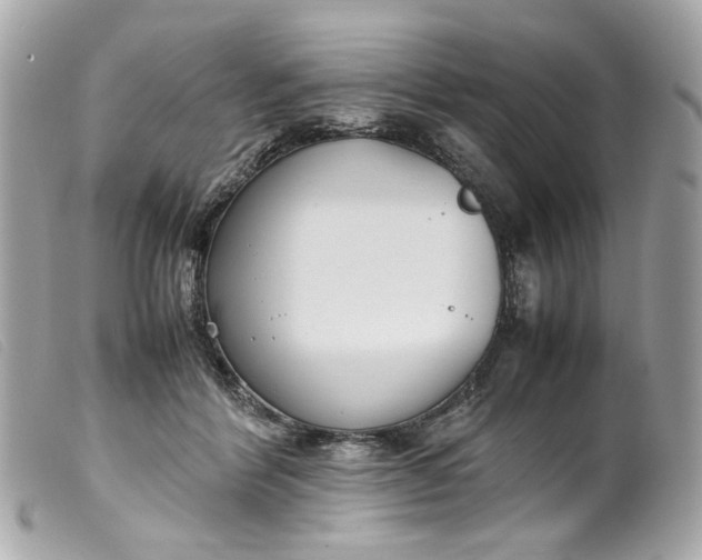 X0000099550412200805301525