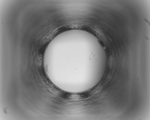 X0000099550413200805301525