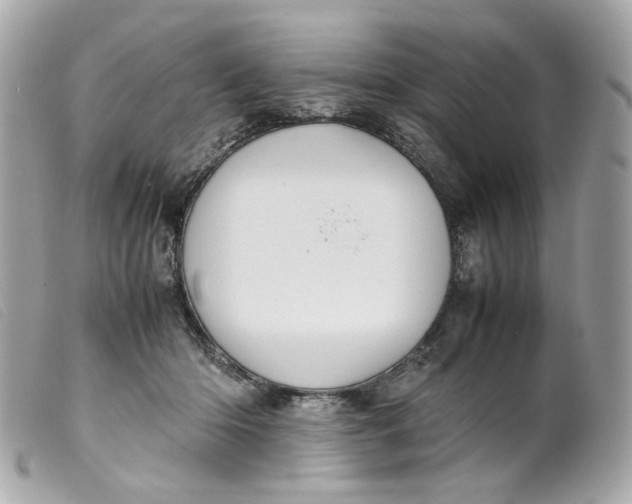 X0000099550414200805301525