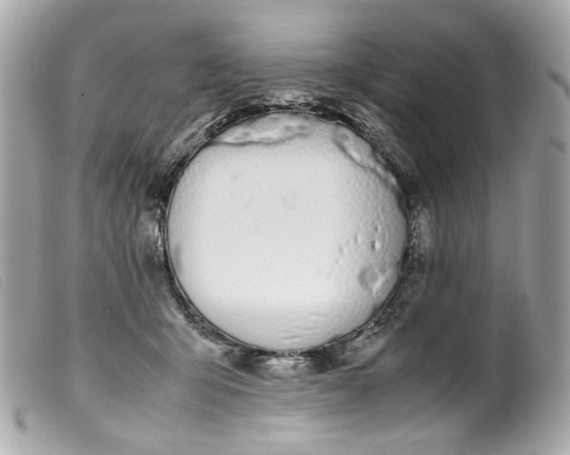 X0000099550415200805301525