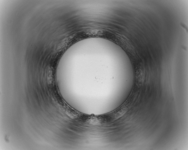 X0000099550416200805301525