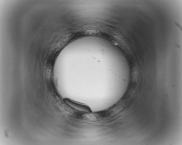 X0000099550417200805301525