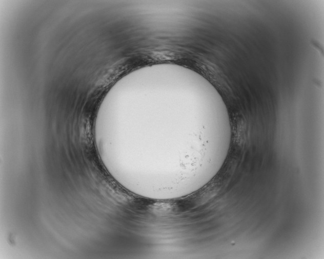 X0000099550418200805301525