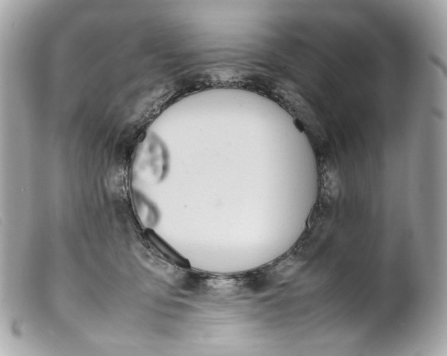 X0000099550419200805301525