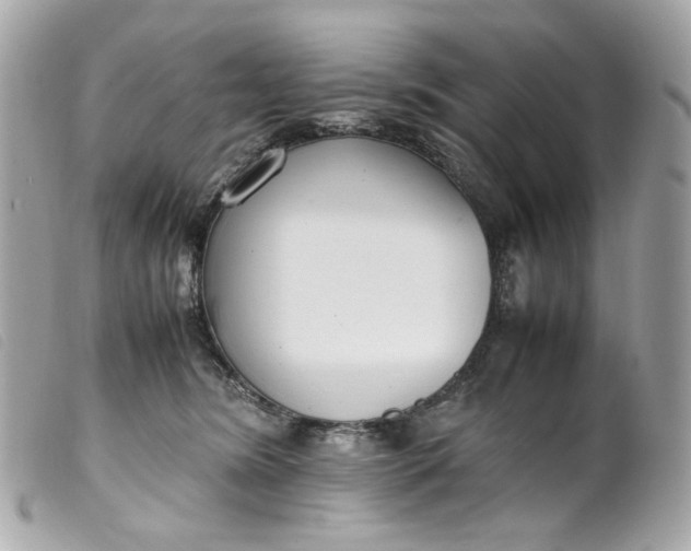 X0000099550420200805301525