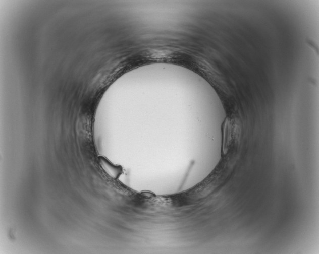 X0000099550421200805301525