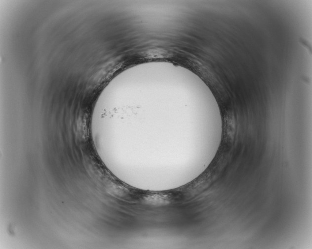 X0000099550422200805301525