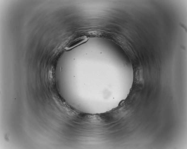 X0000099550424200805301524