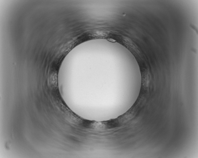 X0000099550425200805301524