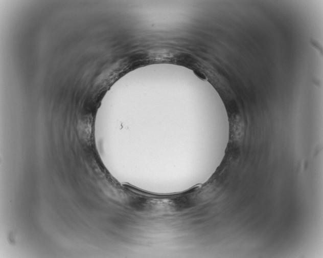 X0000099550427200805301524