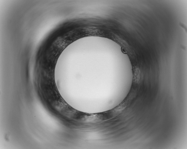 X0000099550430200805301524