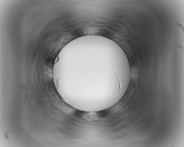 X0000099550431200805301524