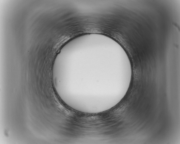 X0000099550433200805301524