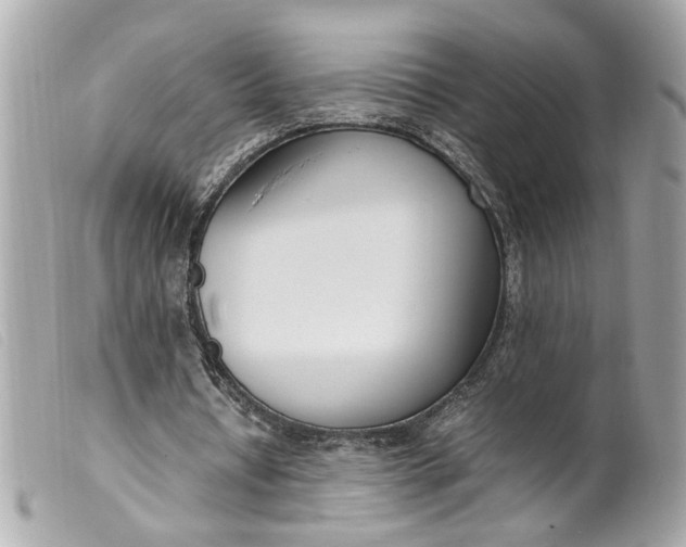 X0000099550434200805301524