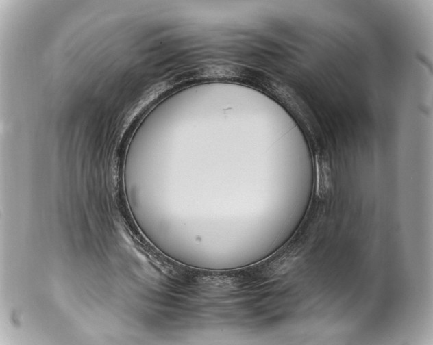 X0000099550435200805301524