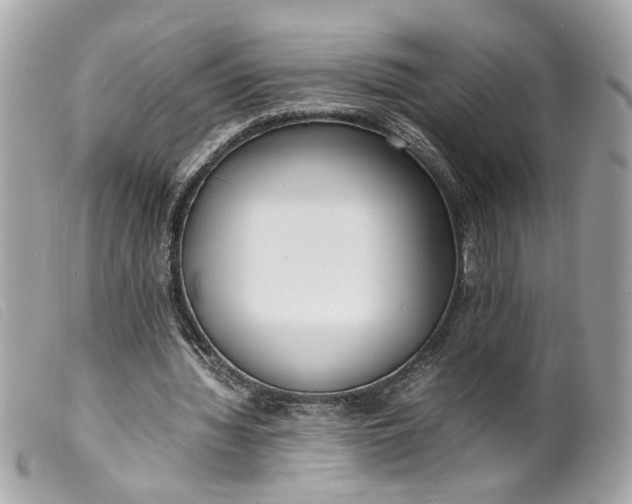 X0000099550436200805301524