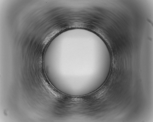 X0000099550437200805301524