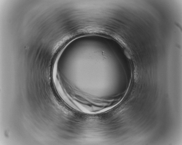 X0000099550438200805301524