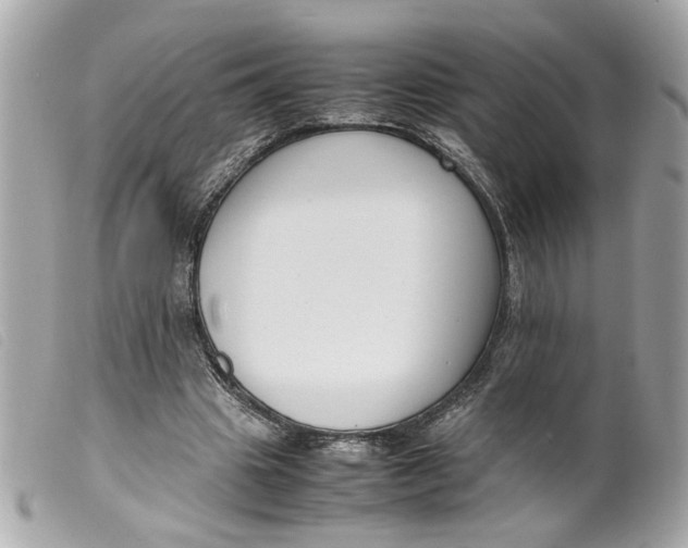 X0000099550441200805301524