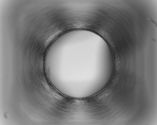 X0000099550442200805301524