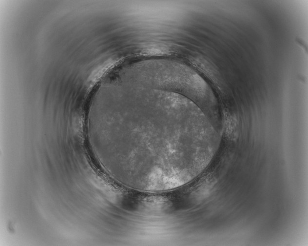 X0000099550444200805301524