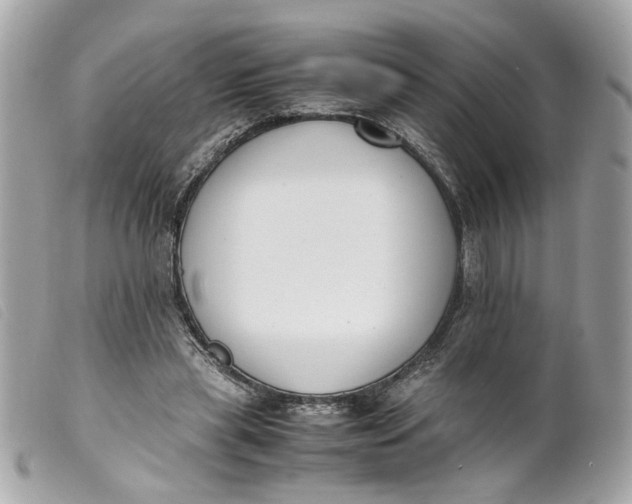 X0000099550445200805301524