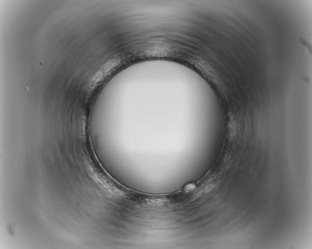 X0000099550446200805301524