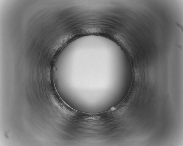 X0000099550447200805301524