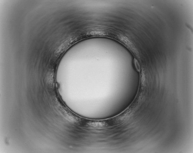 X0000099550449200805301524