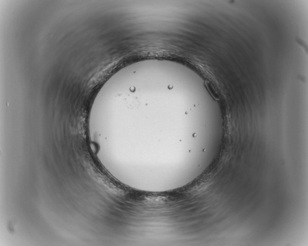 X0000099550450200805301524