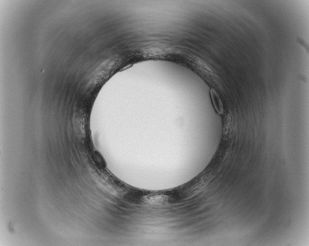 X0000099550452200805301524