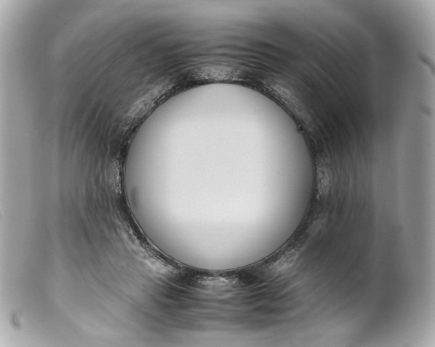 X0000099550453200805301524