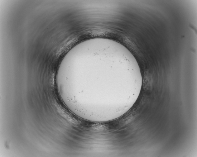 X0000099550454200805301524