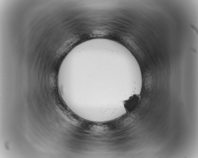 X0000099550455200805301524