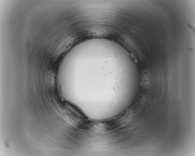 X0000099550456200805301524