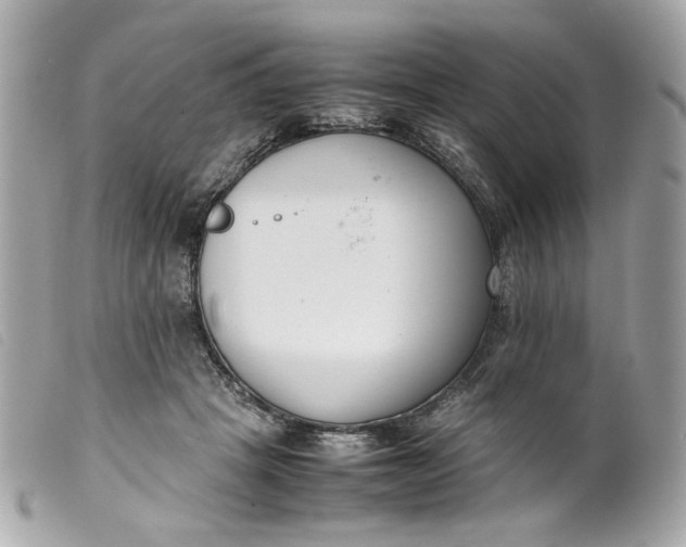 X0000099550457200805301524