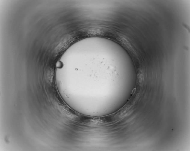 X0000099550458200805301524