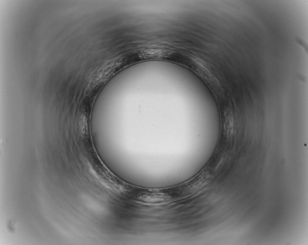 X0000099550459200805301524