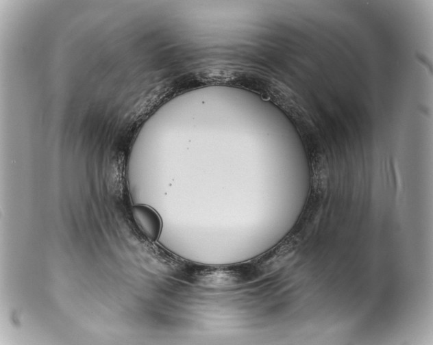 X0000099550460200805301524